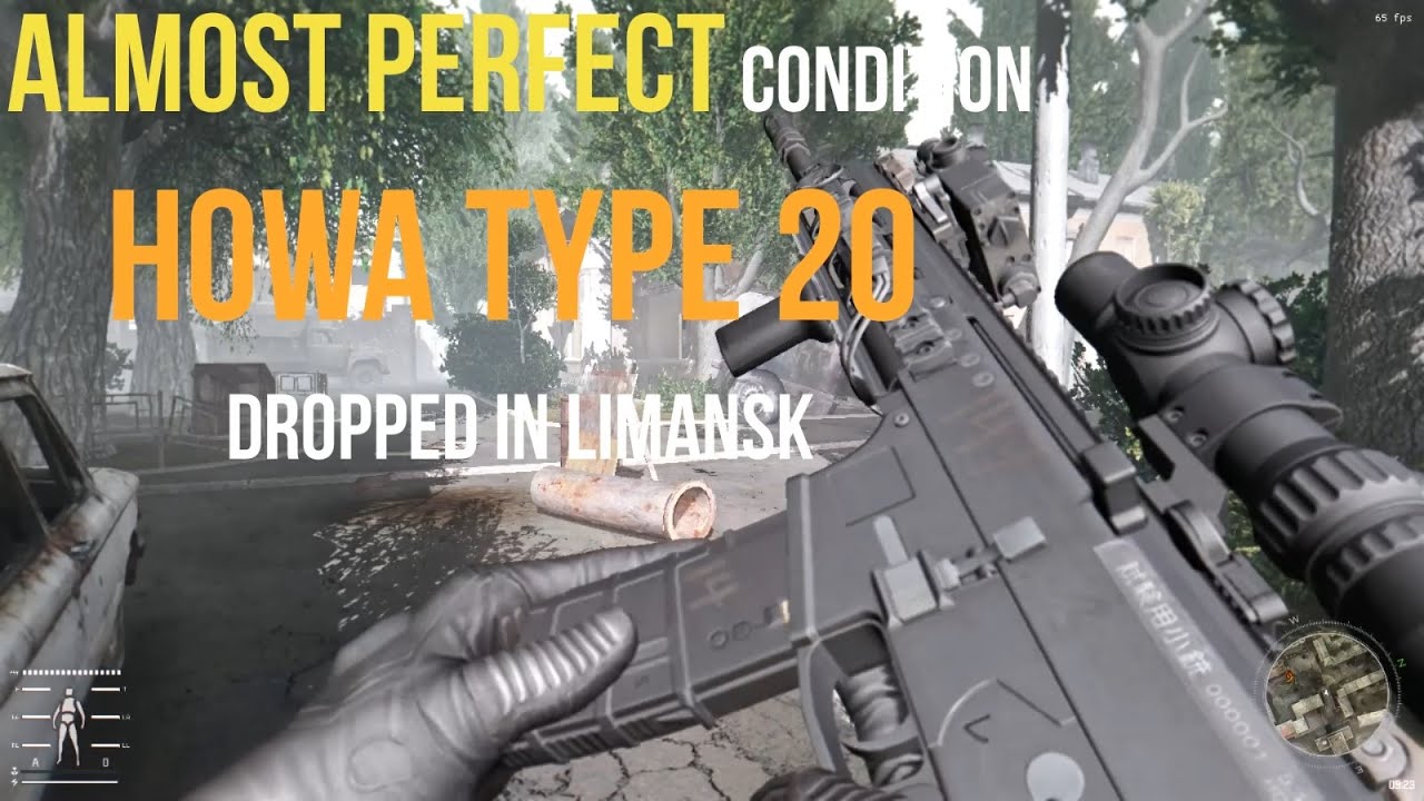 Almost perfect condition Howa Type 20 dropped in Limansk. Stalker gamma 0.9 gameplay.