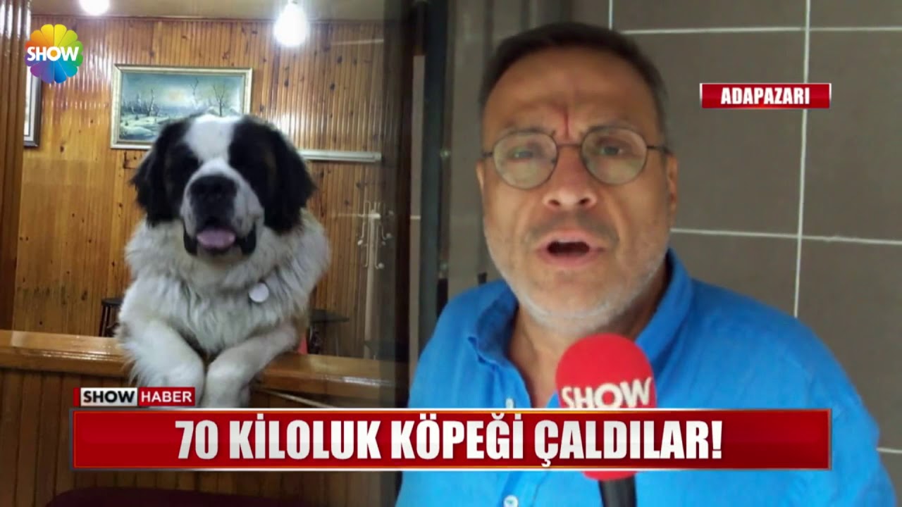 70 kiloluk köpeği çaldılar!