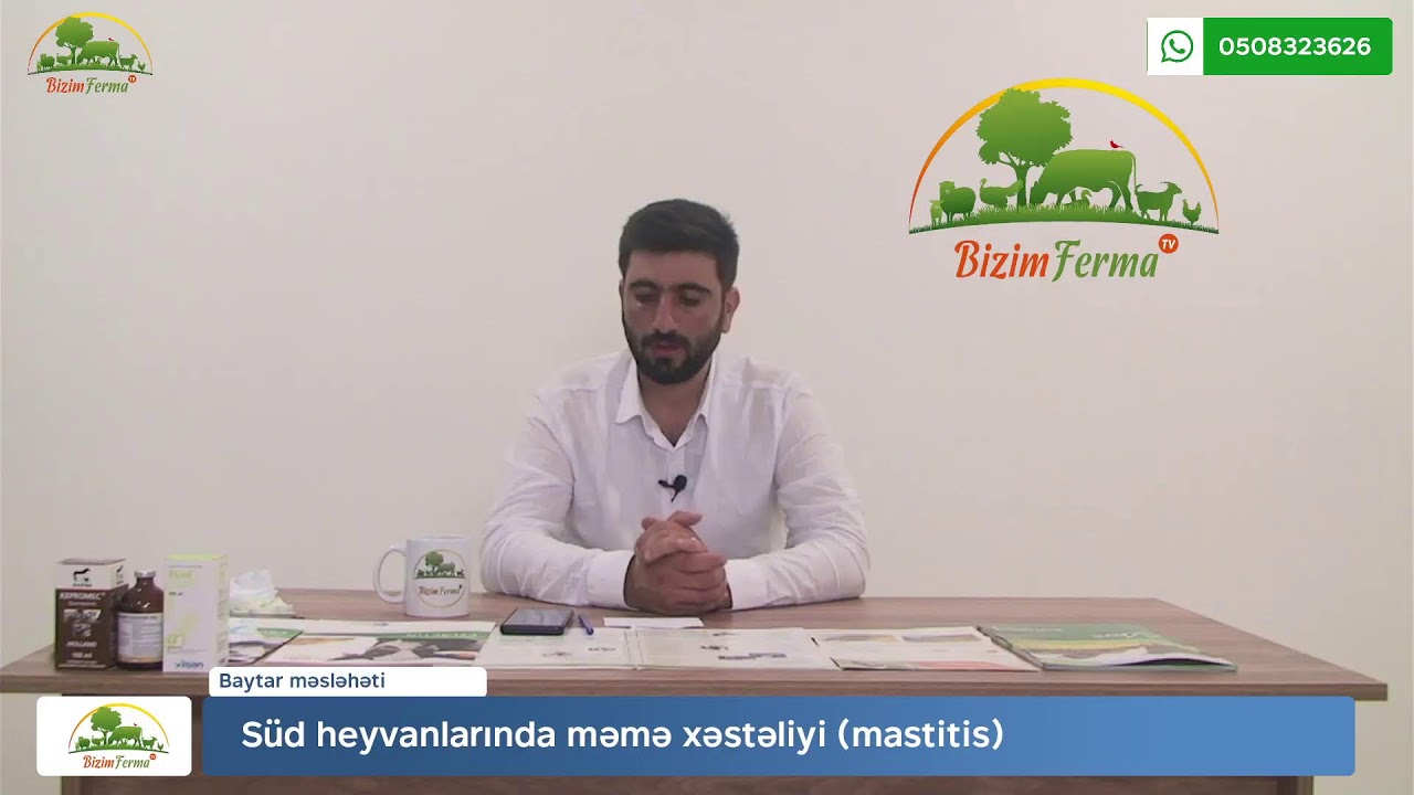 Süd heyvanlarında məmə xəstəliyi (mastitis)