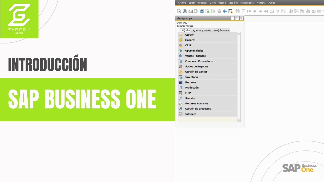 Introducción a SAP Business One 🚀💻