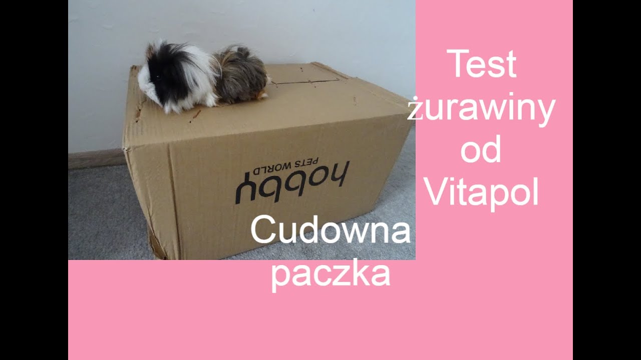Unboxing ambasadorskiej sierpniowej paczki od Vitapol