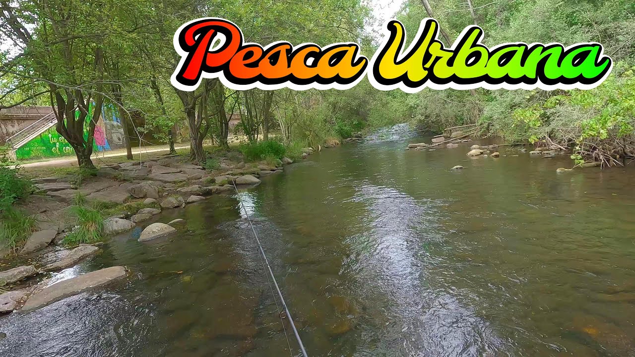 Una aventura urbana: Pesca de truchas en plena ciudad 🗽
