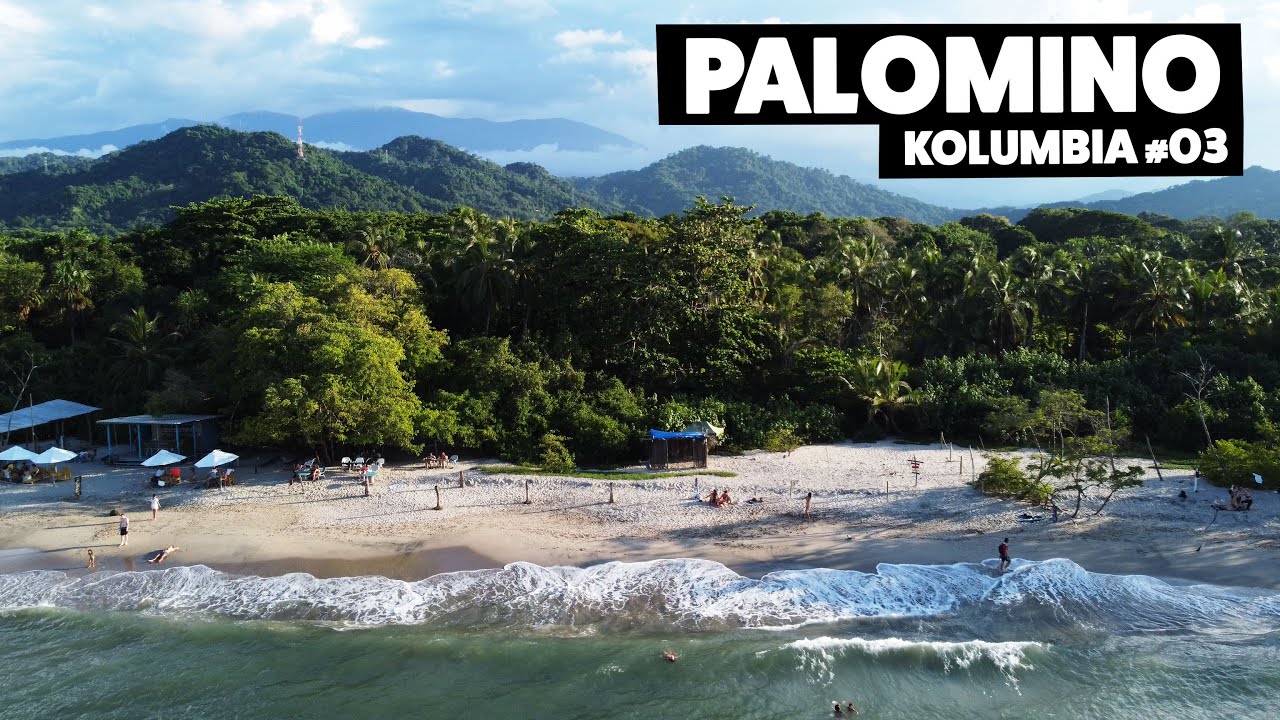 POLSKA WIOSKA W KOLUMBII - PALOMINO - CZY TO BACKPACKERSKI RAJ?