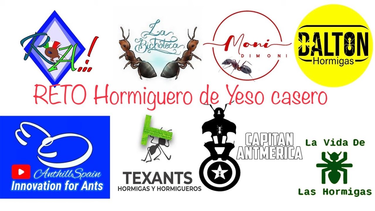 HORMIGUERO CASERO DE YESO Reto con ANTubers o YouTubers de Hormigas #reto #retos #retosdivertidos