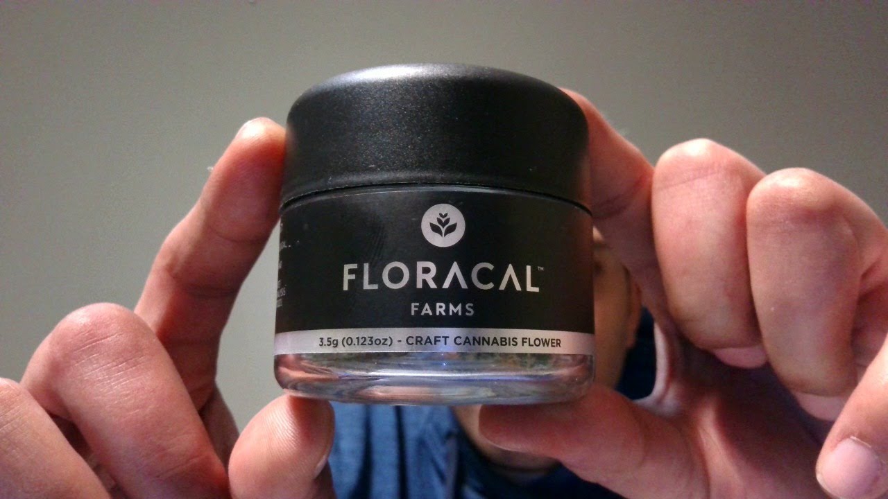 JEALOUSY By FLORACAL FARMS (CHICAGOLAND)