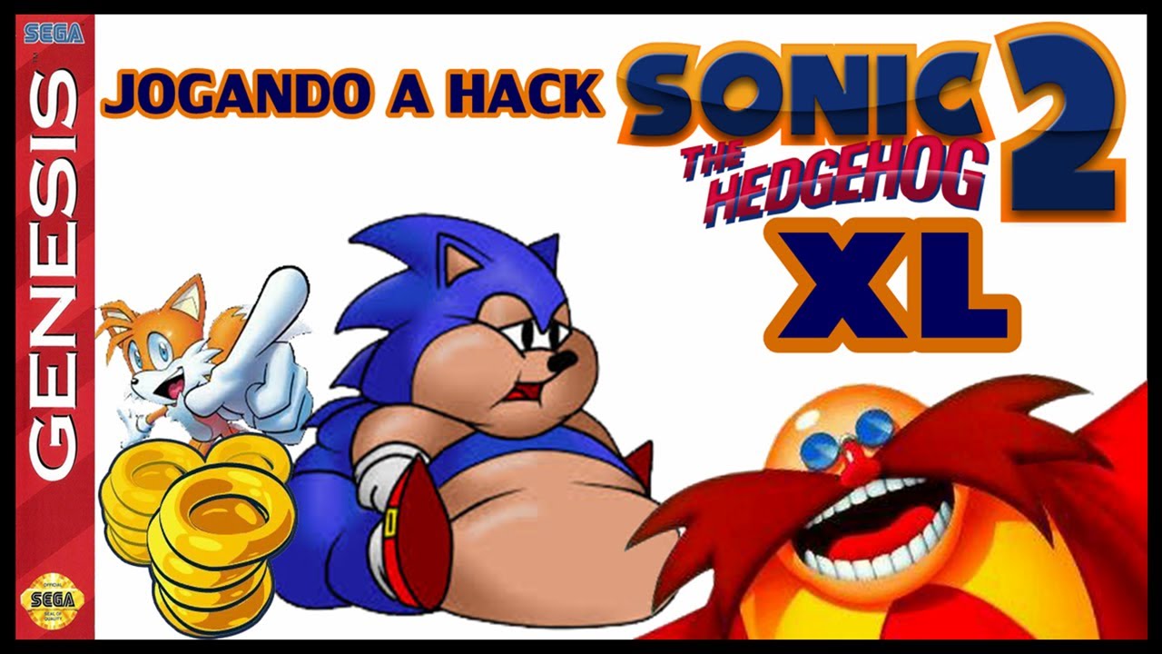 JOGANDO A HACK  SONIC 2 XL