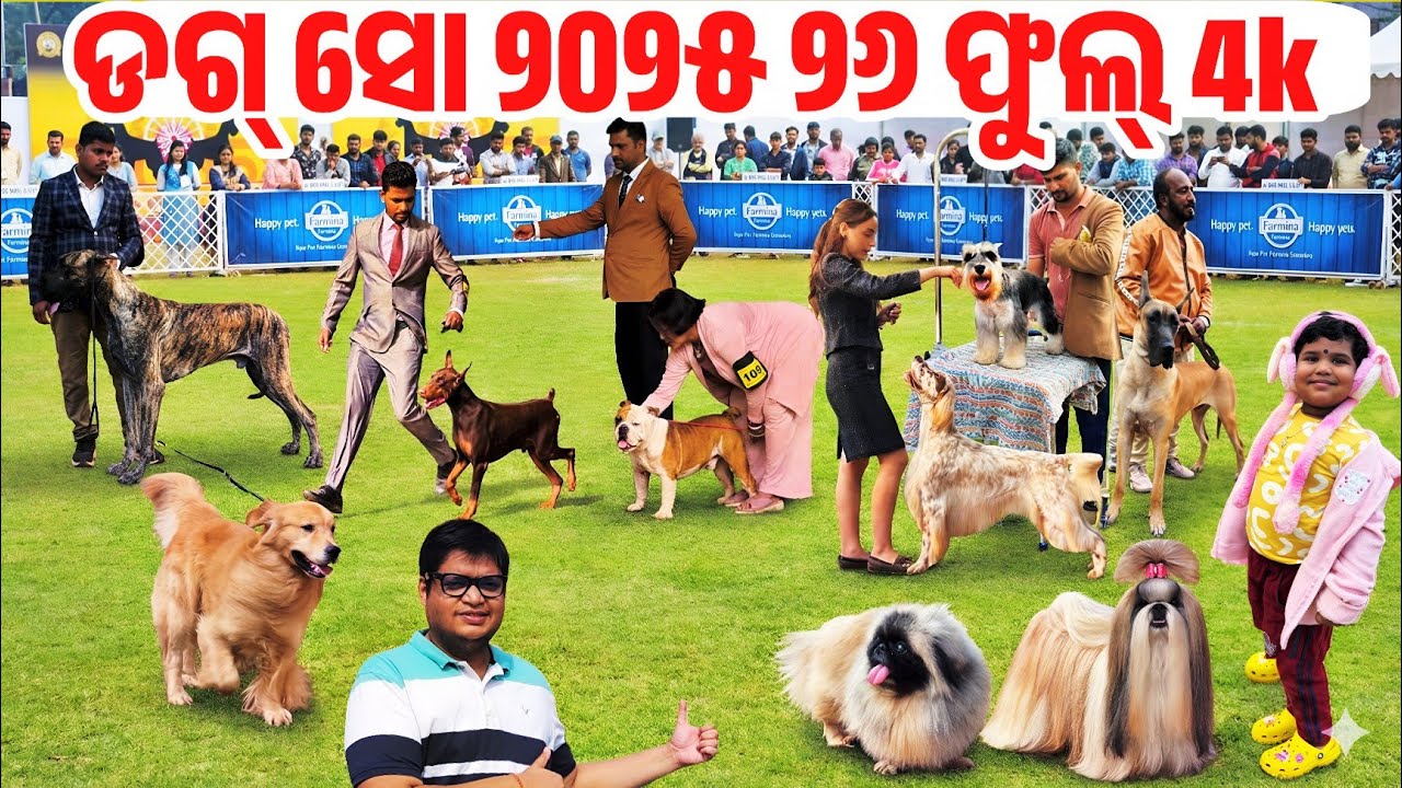 Biggest Dog Show Odisha 2025 Over 35 different types of dog breed at one place Odia Pet Dunia 