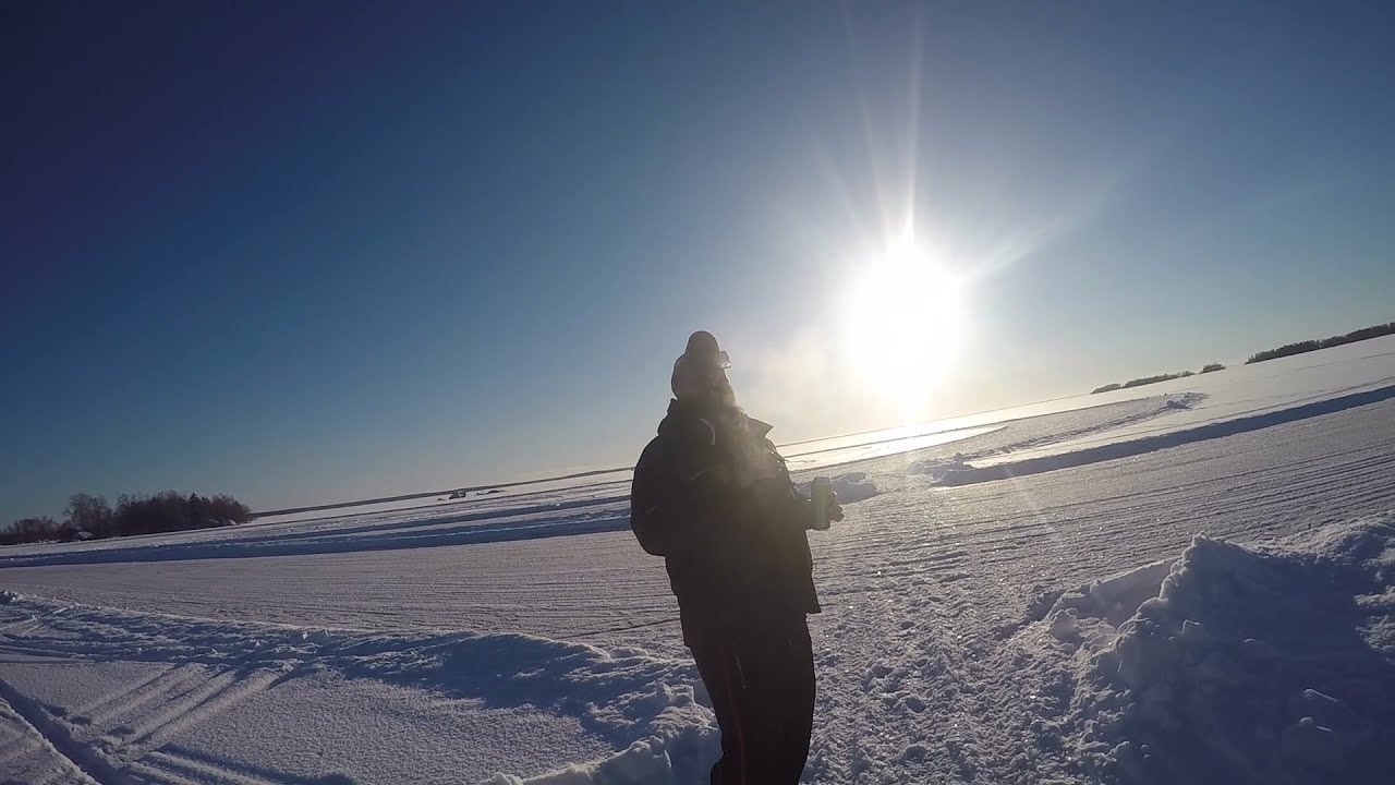Ztringtroza - Har du sett min bejbi? (Official)