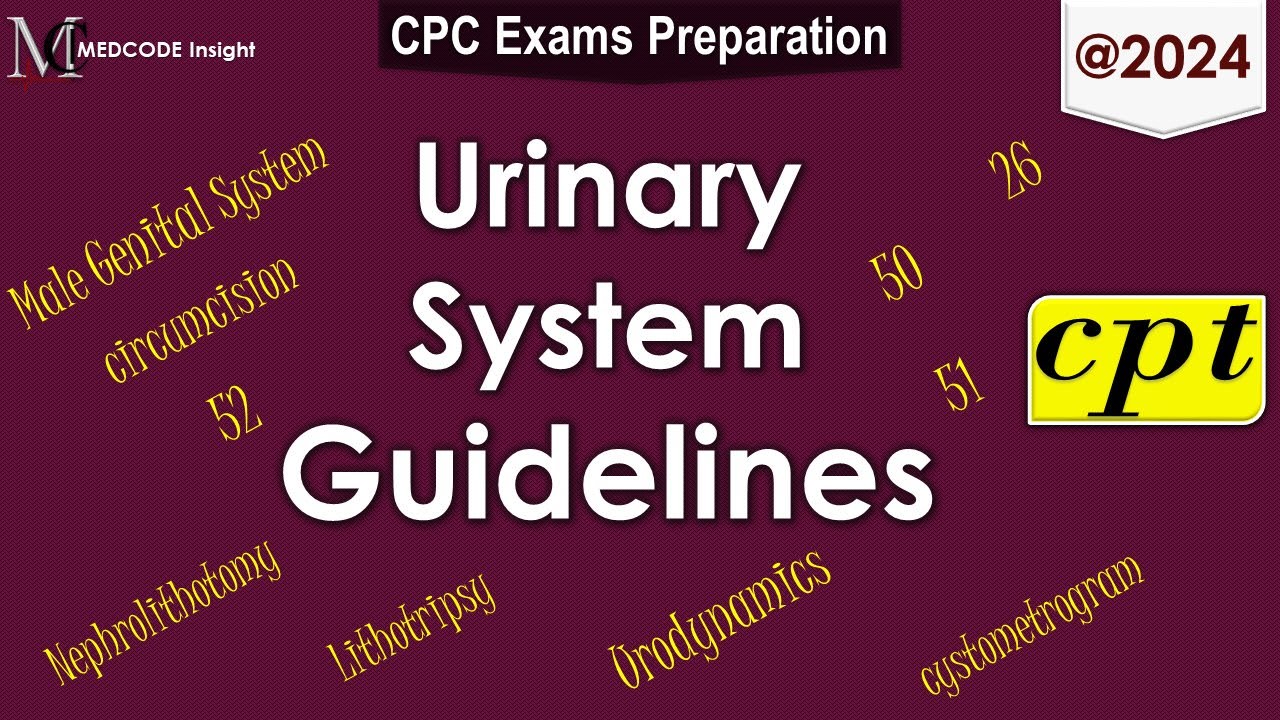 CPT Urinary and Male Genital System Guidelines