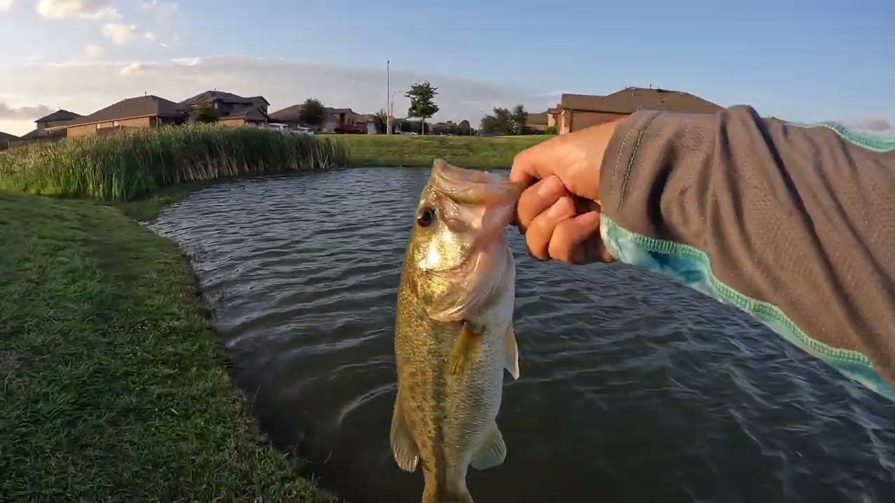 Zoom Finesse Worm Gets the bites!