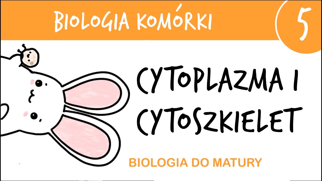 Cytologia 5 - Cytoszkielet i cytoplazma- biologia matura poziom rozszerzony liceum