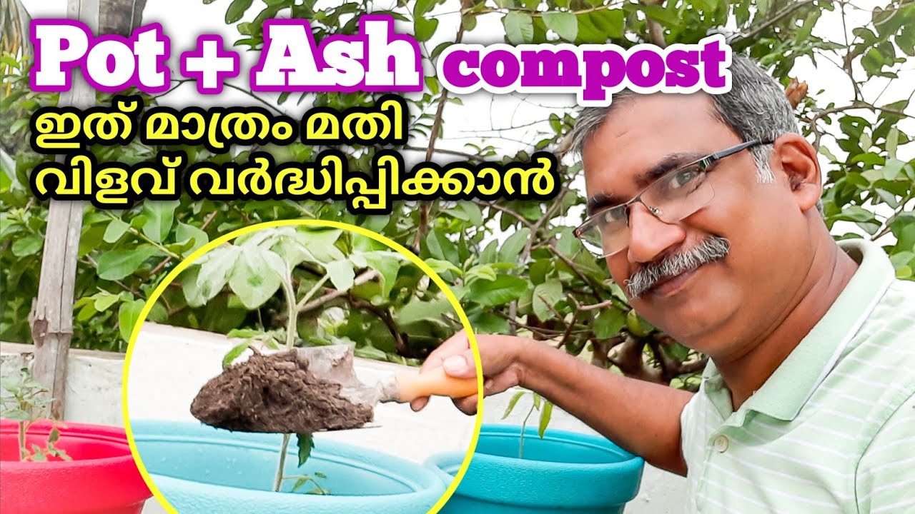 ചാരം കമ്പോസ്റ്റ് ചെയ്തു ഉപയോഗിച്ചാലുള്ള ഗുണങ്ങൾ  | Wood Ash Fertilizer Malayalam| Wood Ash Compost