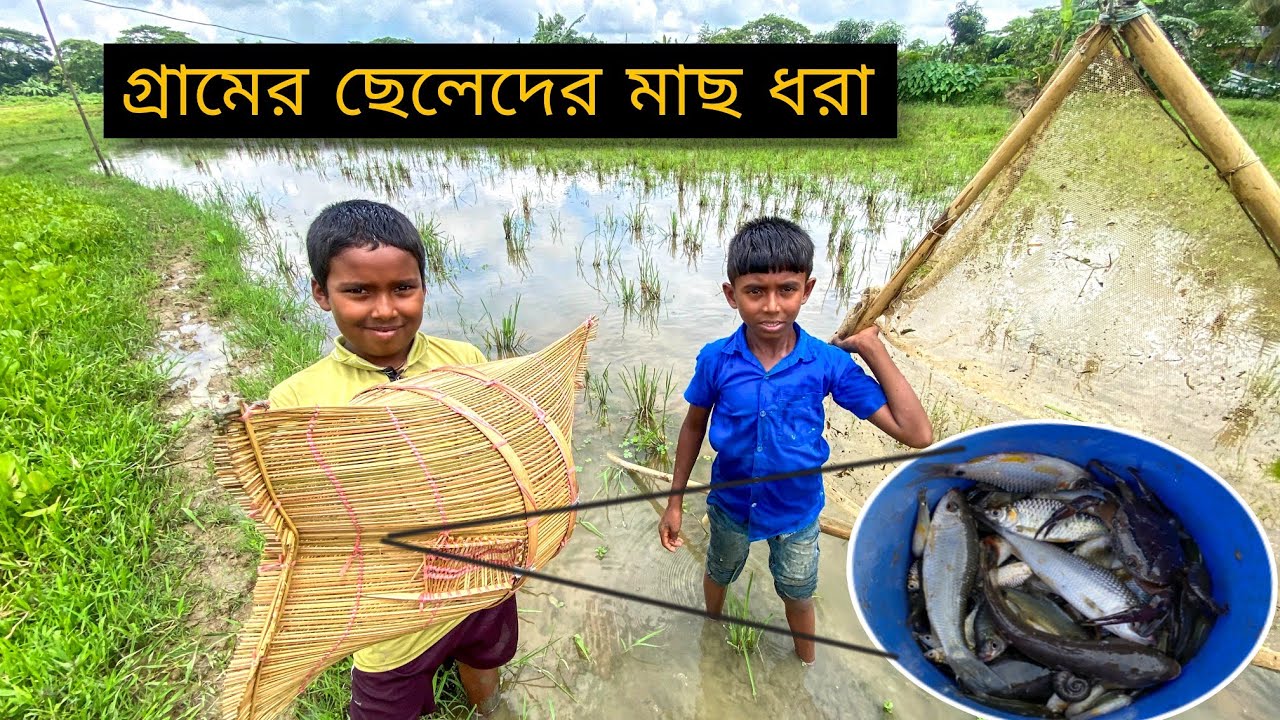 পল্লবের নতুন ফাঁদে কেমন মাছ ঢুকলো | Village Boy Fishing