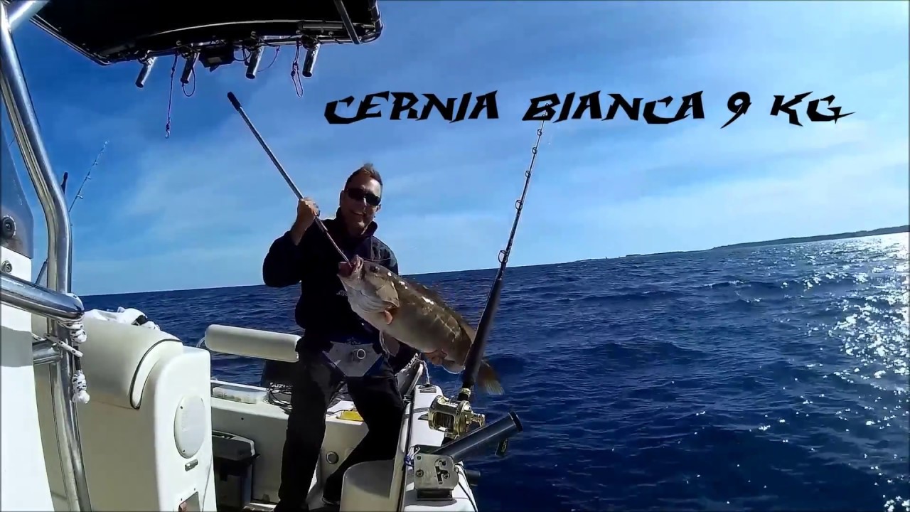 Pesca Cernia Bianca 9 kg ferrata in diretta Tassone Sport Fishing 2017