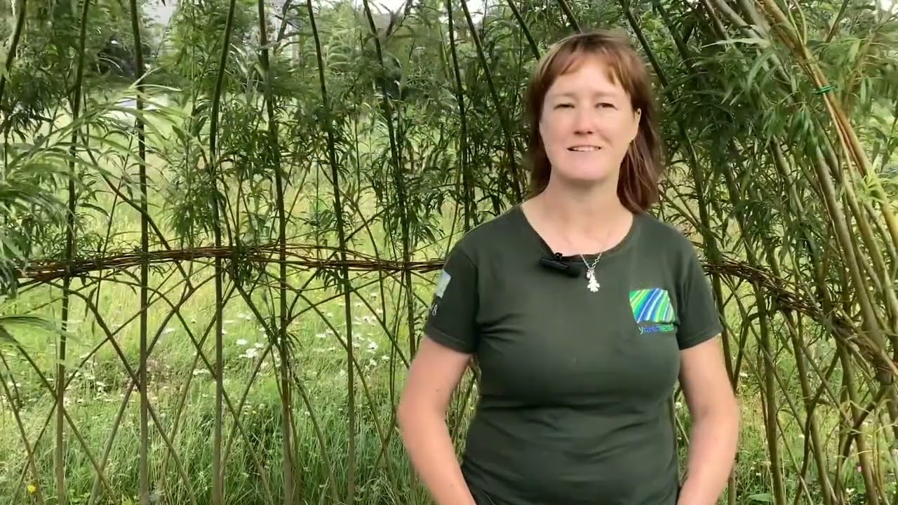 The new Community Wildlife Garden in Tanygrisiau