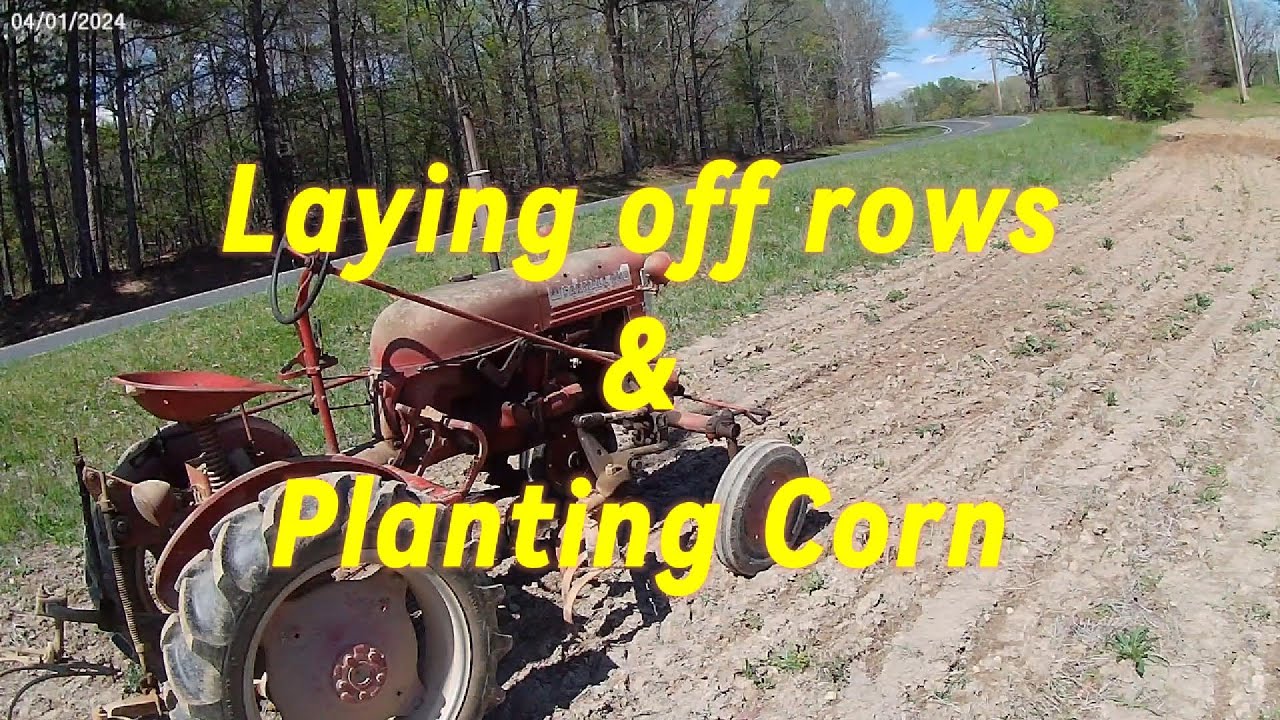 Planting Corn with Farmall Cub