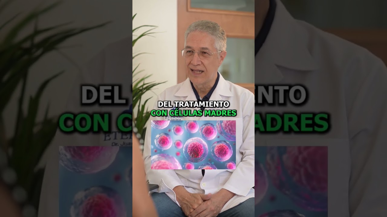 ¿Qué son las Células Madre?