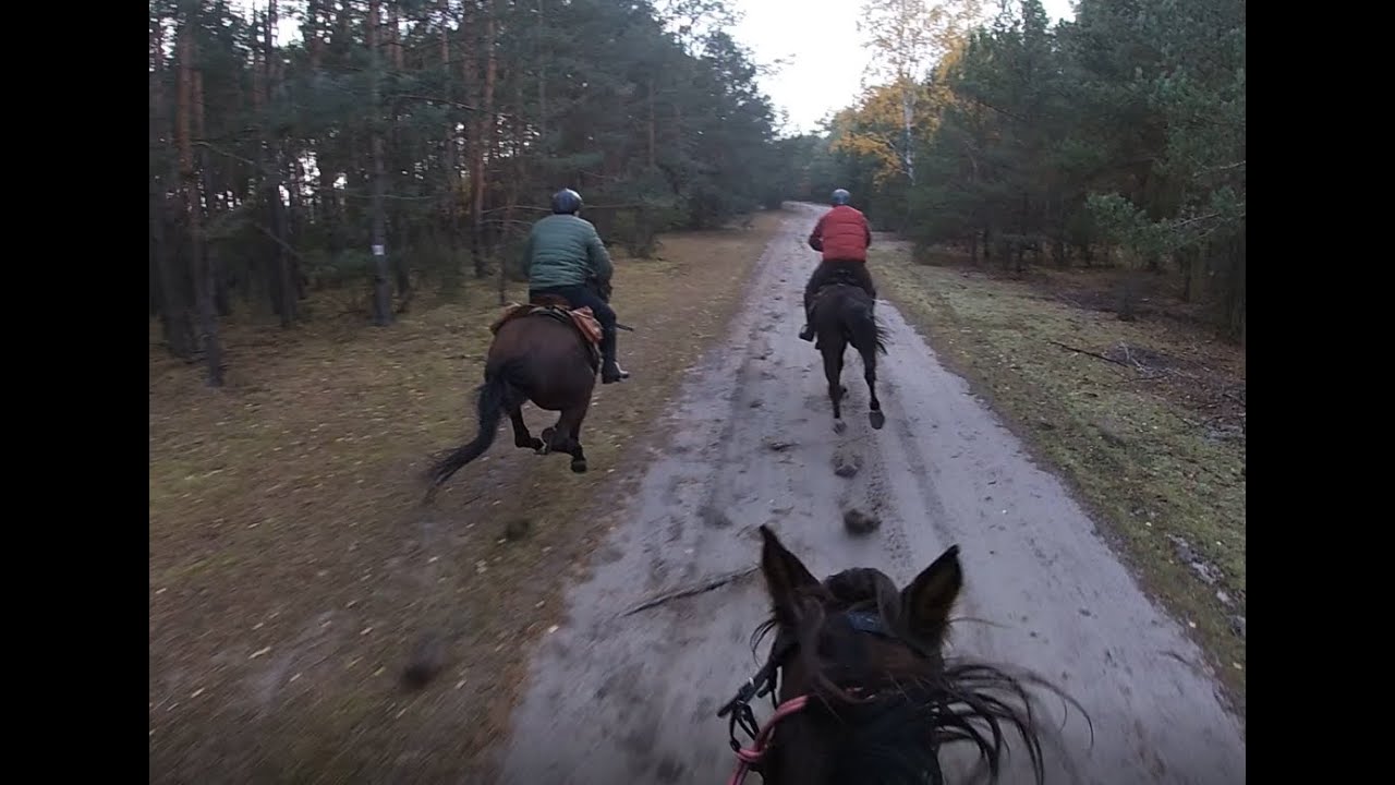W siodle #ATOS vs GAJ ... dają z kopyta:) #Rajd z Eldorado