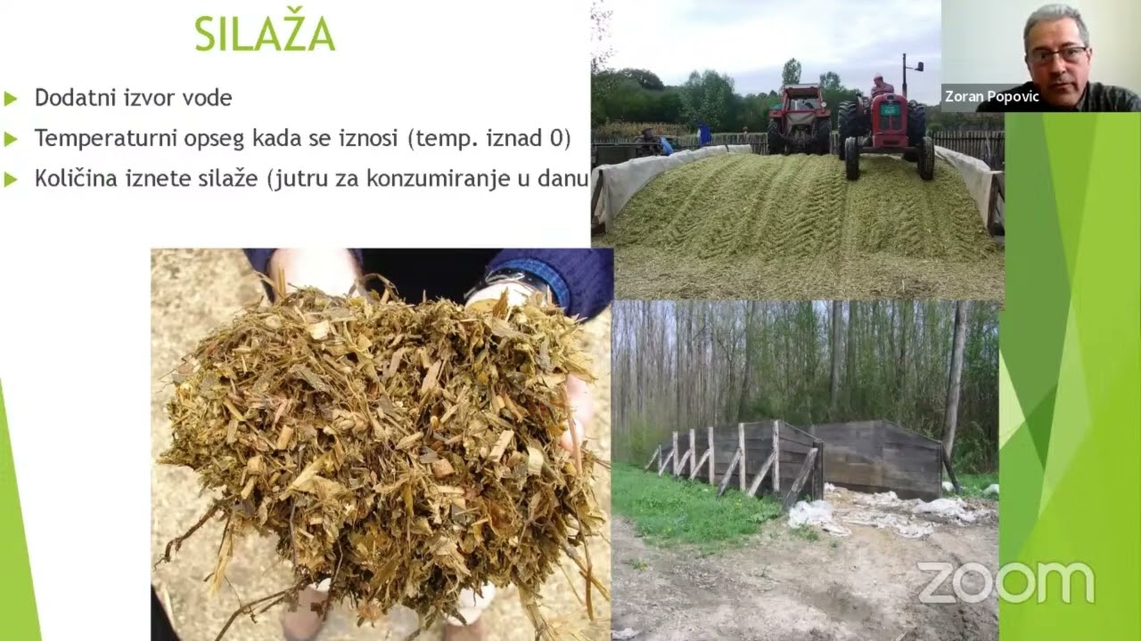 Исхрана дивљачи - Предавање Ловачке Коморе Србије
