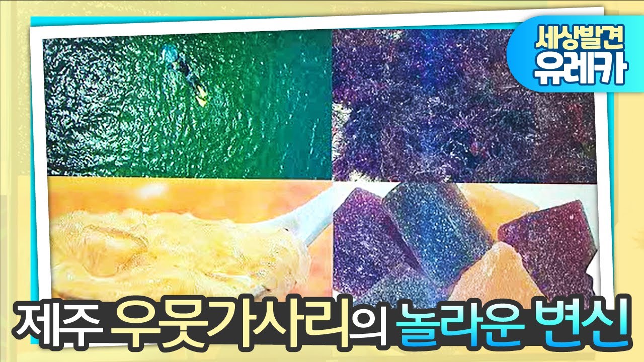 [세상발견 유레카] 제주 우뭇가사리의 놀라운 변신 2016.7.11(월)