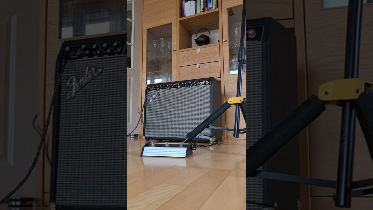 Fender Concert Amp mit Fender Strat