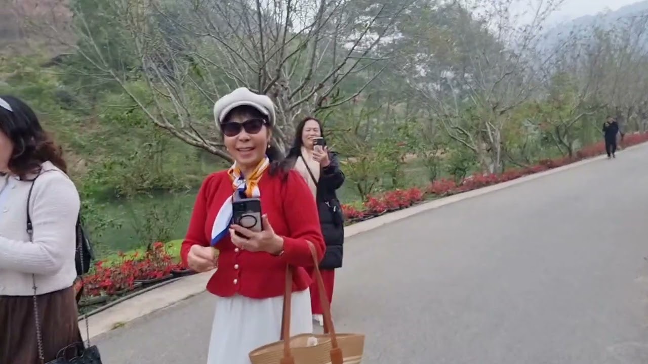 Mộc châu 24/1/2026
