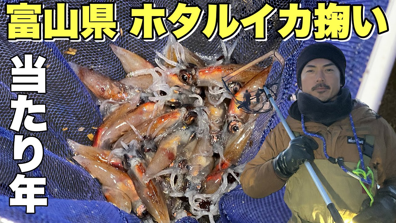 富山湾でホタルイカすくい！爆湧きなるか？！