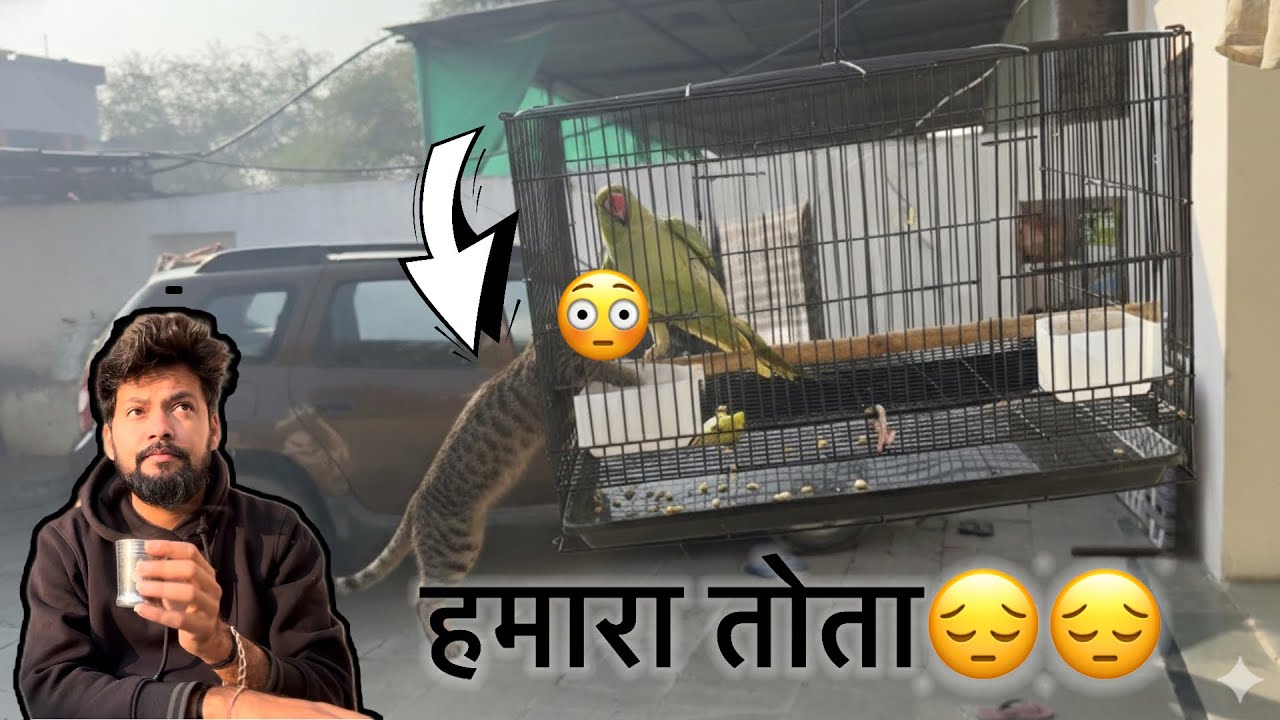 गांव में आते ही ये क्या हो गया😌#Village life 