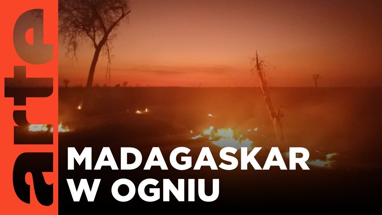Madagaskar: kraina ognia | ARTE.tv Dokumenty [CAŁY FILM LEKTOR PL]