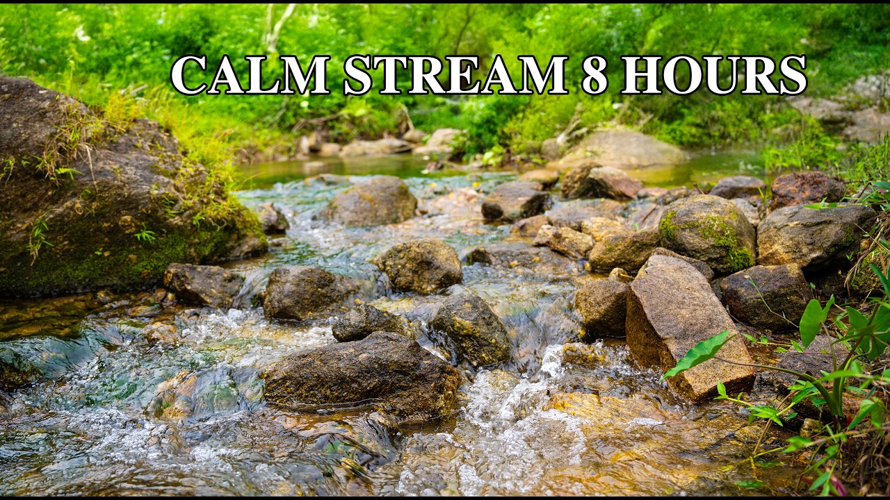 Gentle River Sounds for Deep Sleep – 8 Hours of Nature Ambience