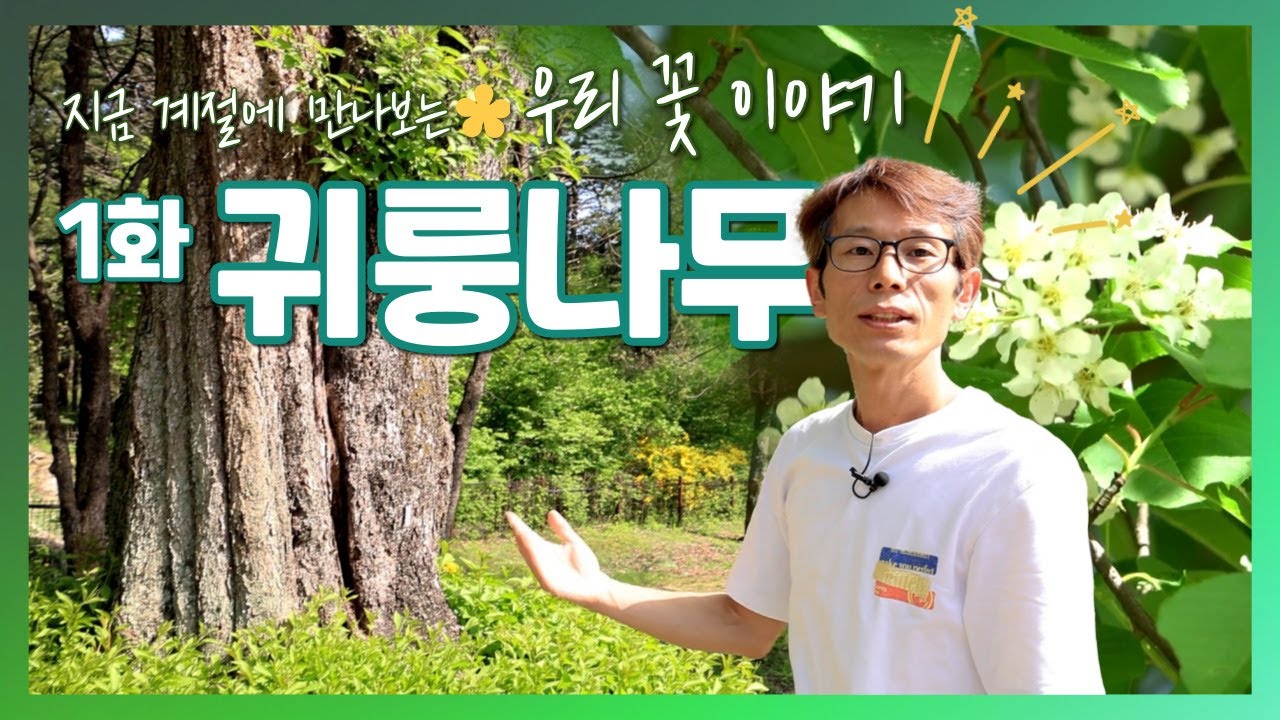 귀룽나무 [계절에 만나는 우리 꽃 이야기 1화]
