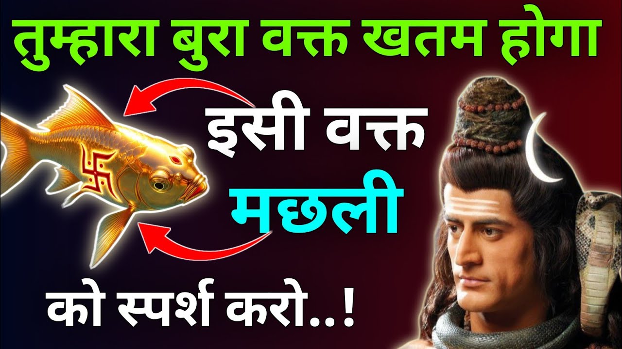 शिव महापुराण शिव पार्वती सवांद |शिव चर्चा शिव कृपा  के लिए सुने|Shiv Mhapuran |Mhadev Updesh 