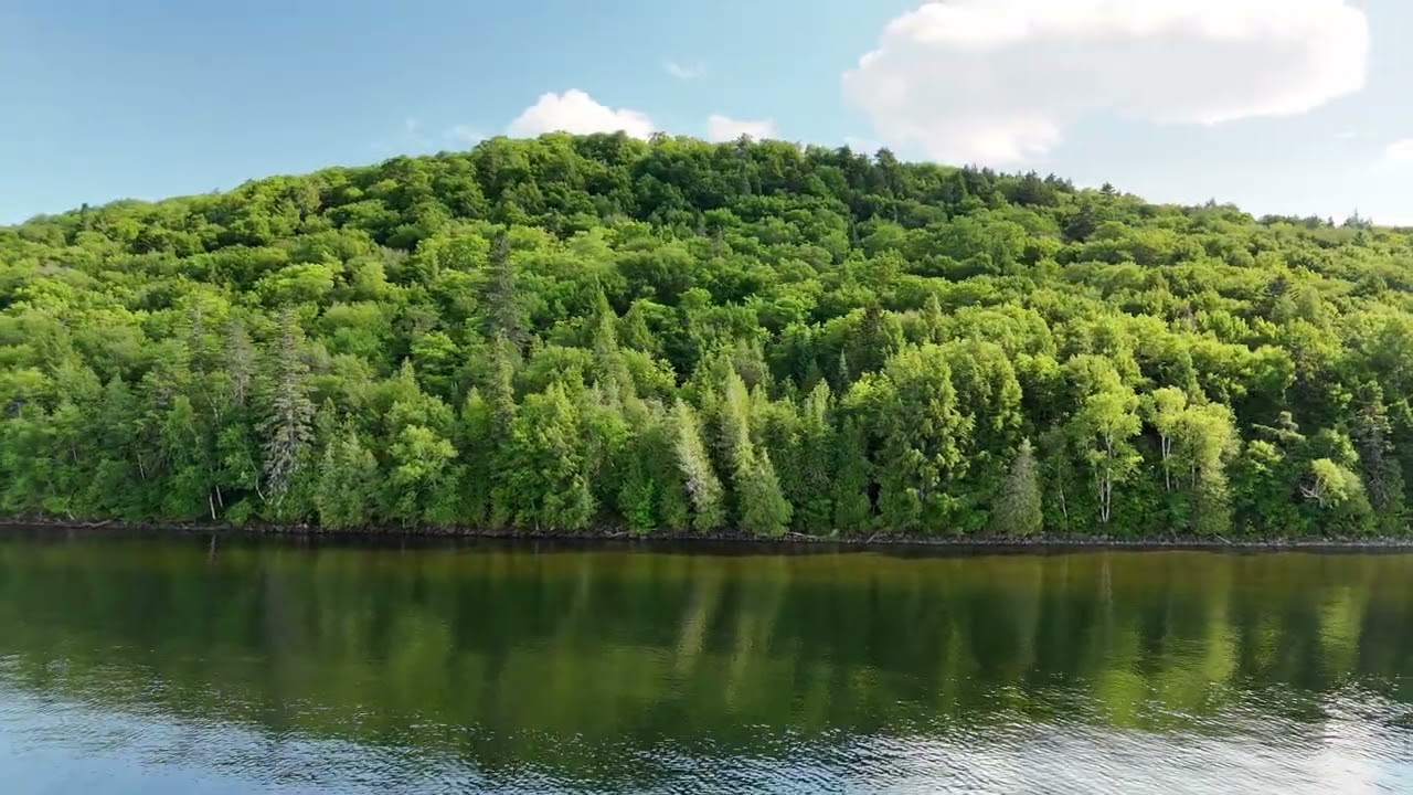 Epic Lakefront Property   A Rare Find with 2.6 miles of waterfront on Long Lake in Sinclair Maine