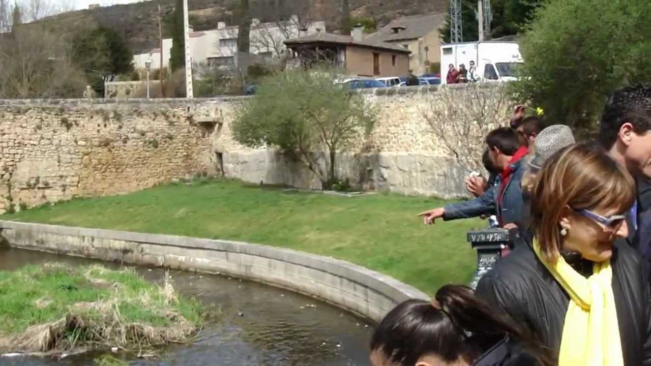 Día del Pueblo Gitano en Segovia. Alamena del Parral 10/4/2012 (3)