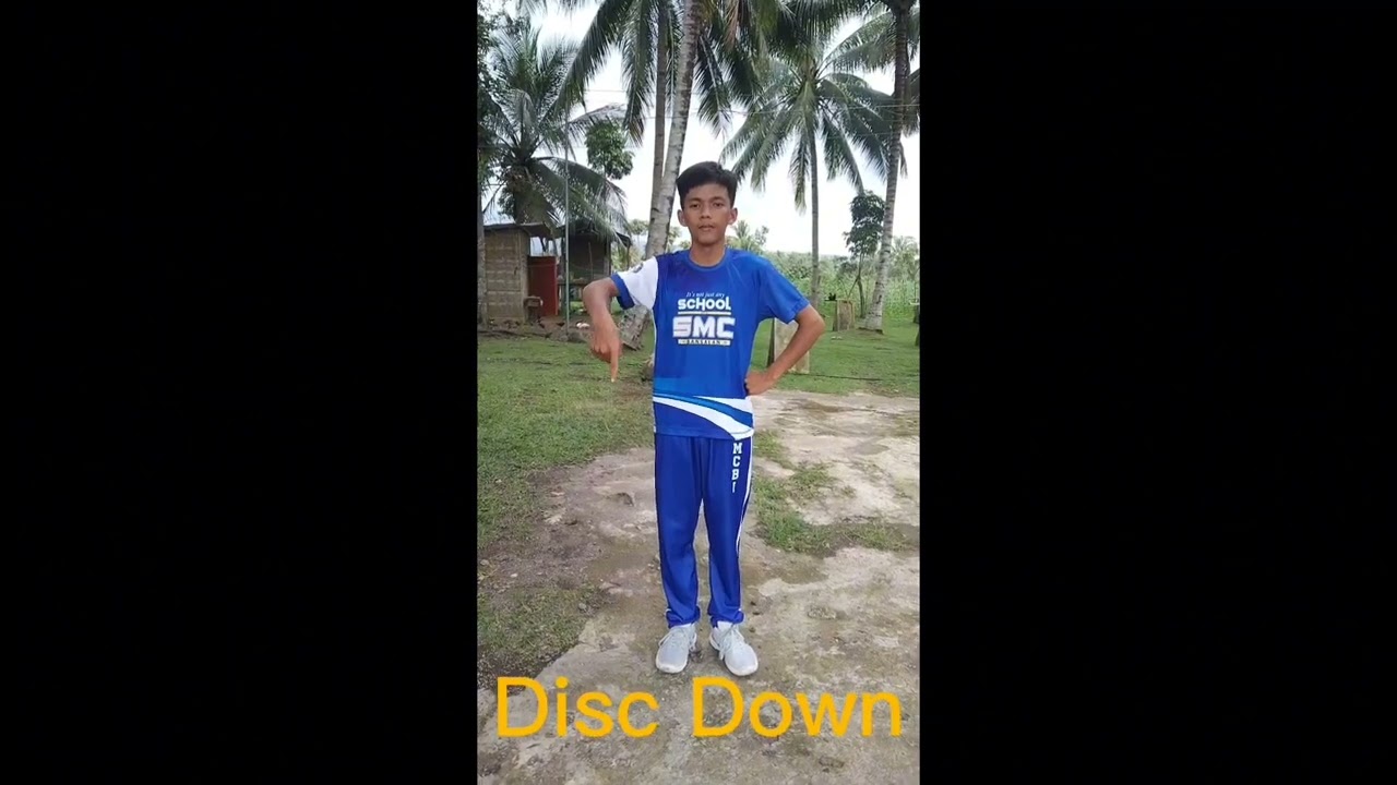 WFDF Rules of Ultimate Hand Signals