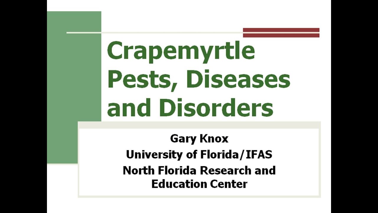 2016 07 20 11 06 Crapemyrtle pests disease disorders