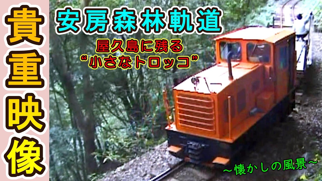 【乗れない鉄道!?】 屋久島に残る“小さなトロッコ” ～ 安房森林軌道～ 【1999年撮影】