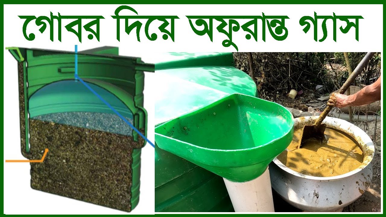 গোবর দিয়ে কিভাবে ফ্রি জ্বালানী গ্যাস তৈরি করা যায় | Krishi o Krishok ||