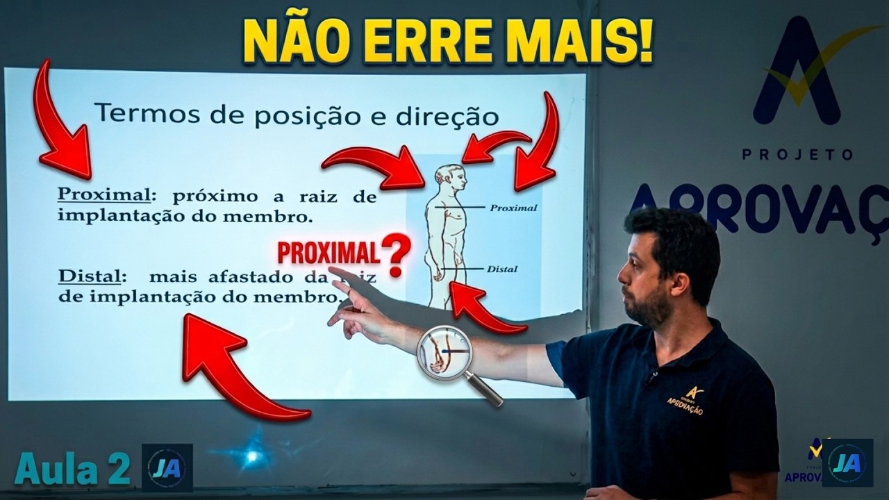 Termos de posição e direção em Anatomia | AULA 2
