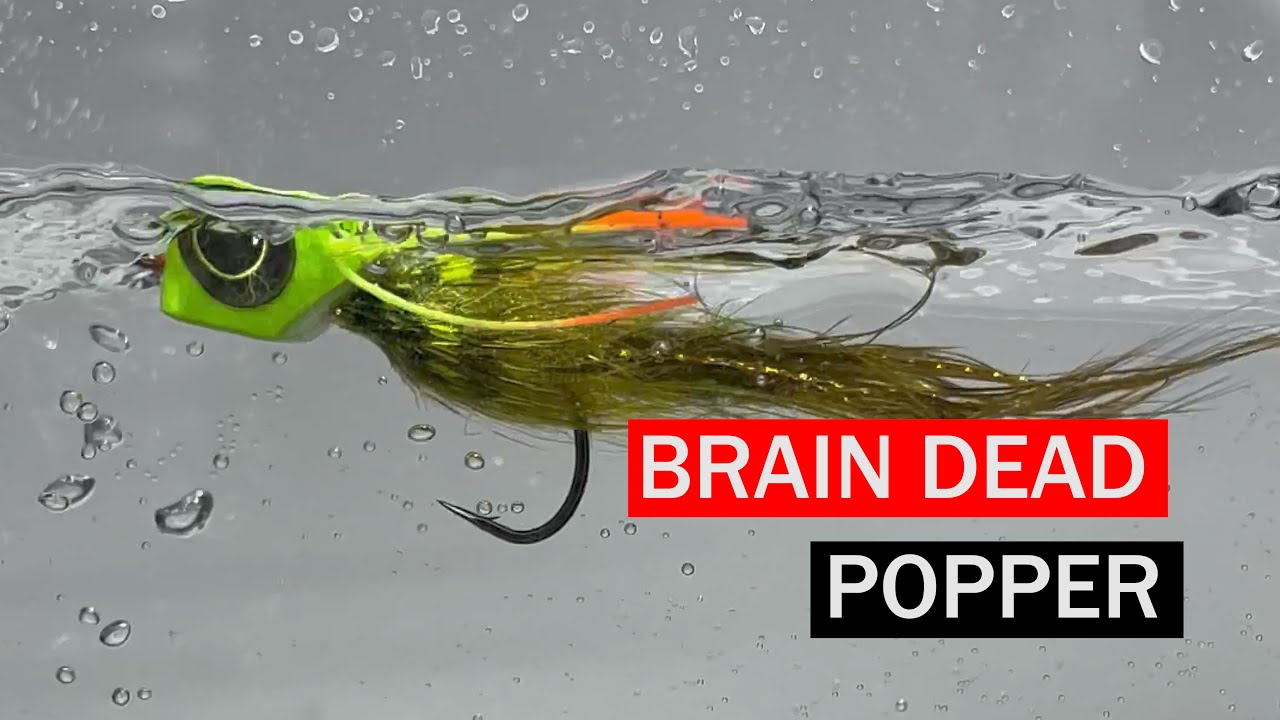 Brain Dead Popper Fly Pattern Tutorial by Svenddiesel