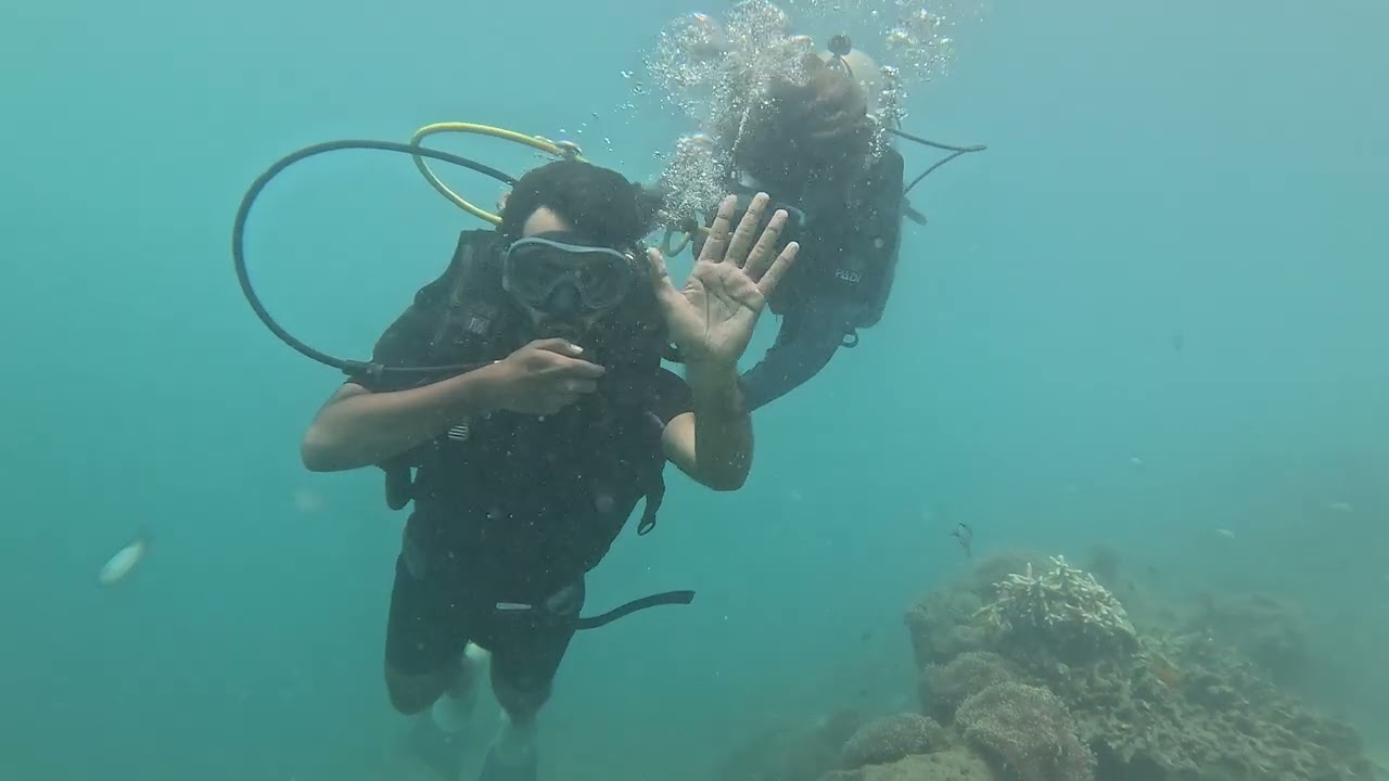 Scuba diving in havelock 🤿🤿🥽