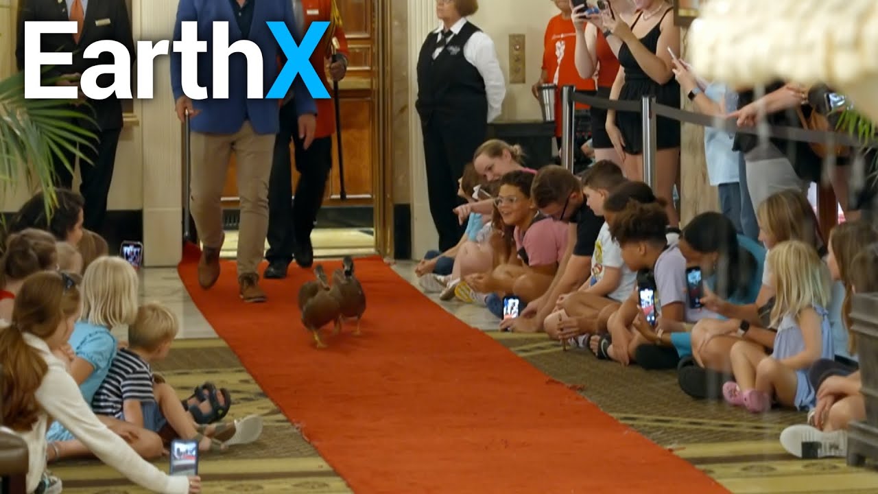 Nick Knowles Becomes an Honorary Duck Master | Big Adventures: Into the Mississippi | EarthX