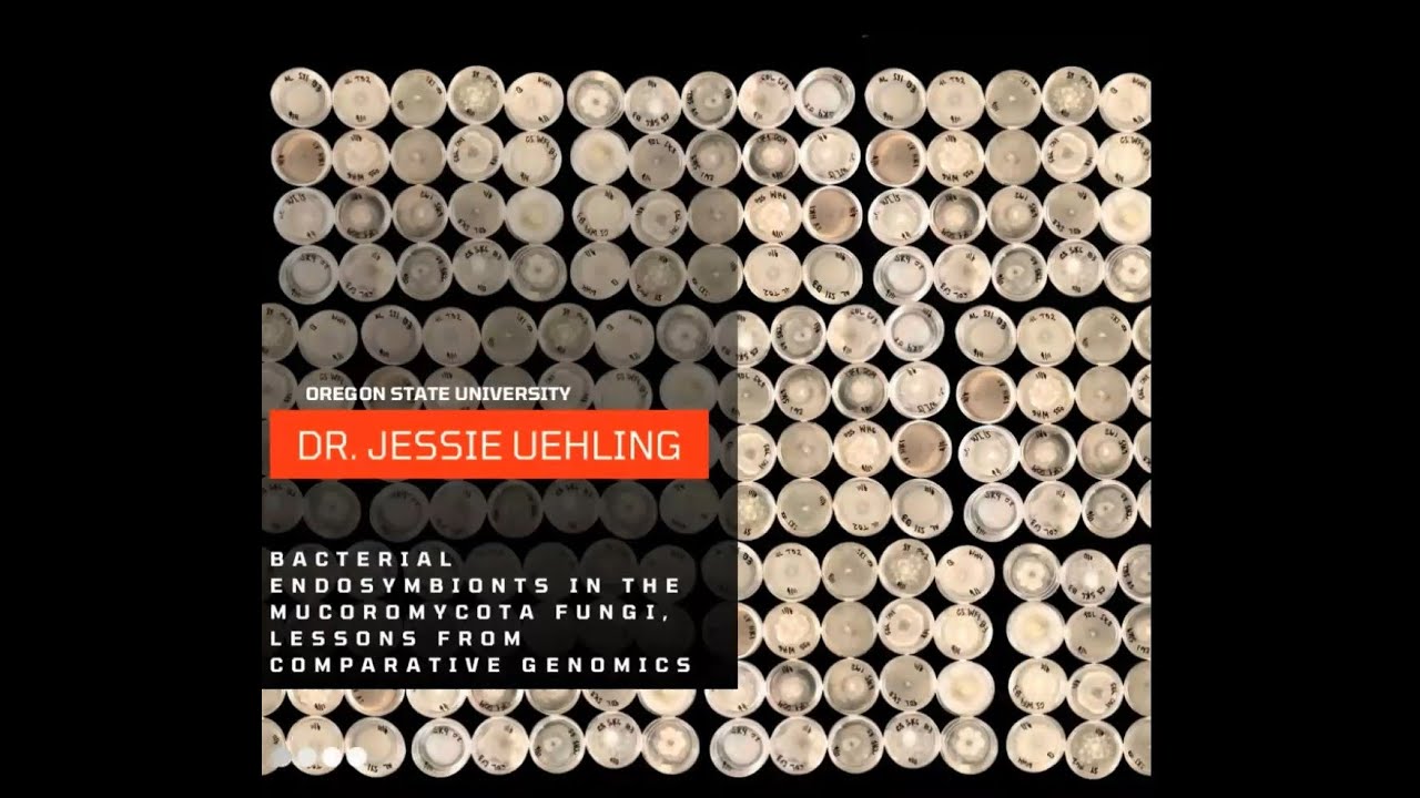 October 2022 Virtual Seminar with Dr Jessie Uehling