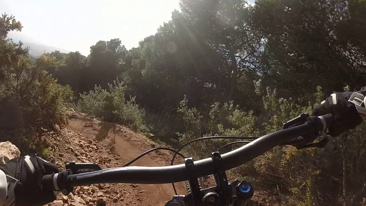 dh malaga roost