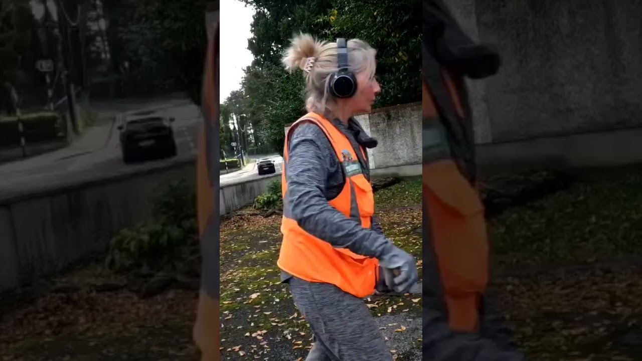 Moss removal from  tarmac