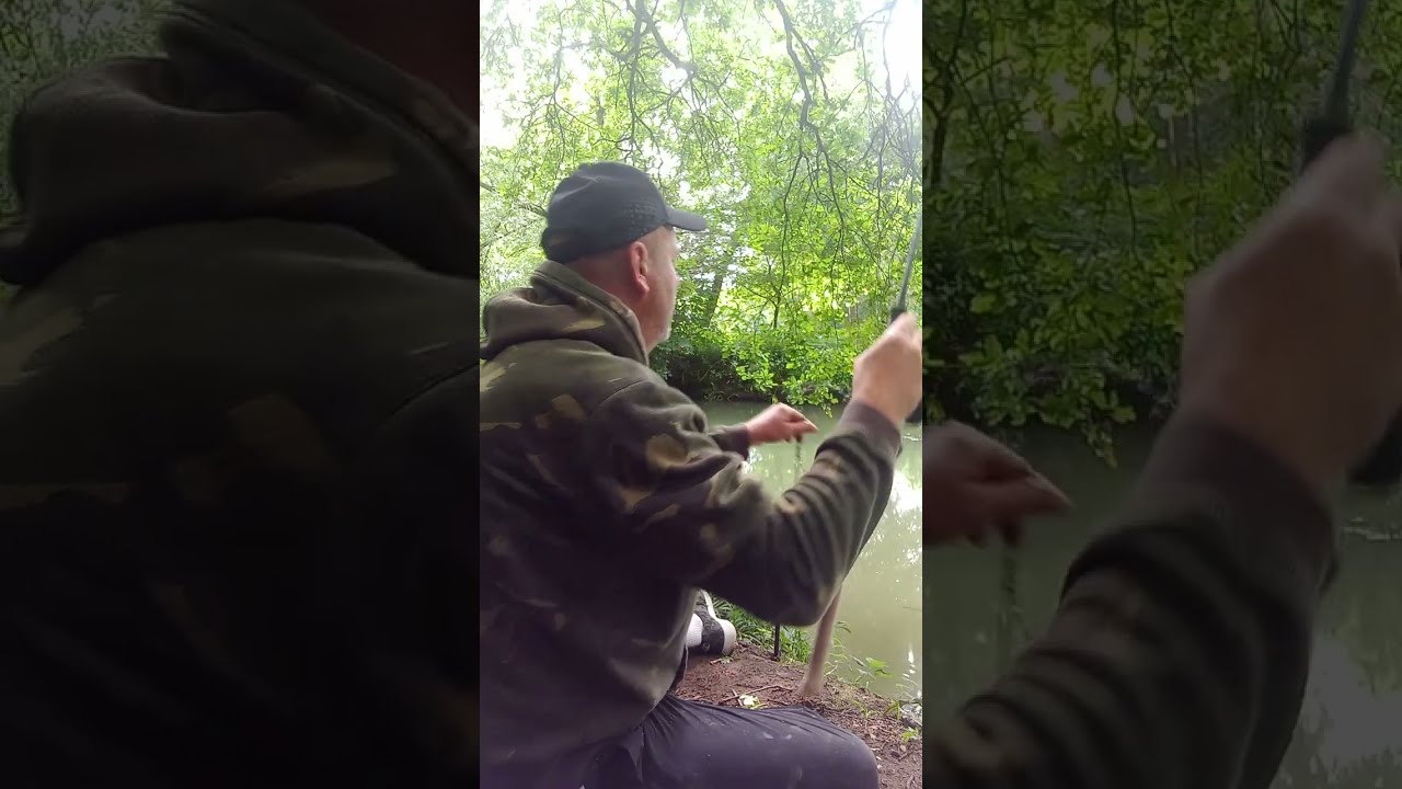 River Yeo: Link Leger Fishing with a Few Bites