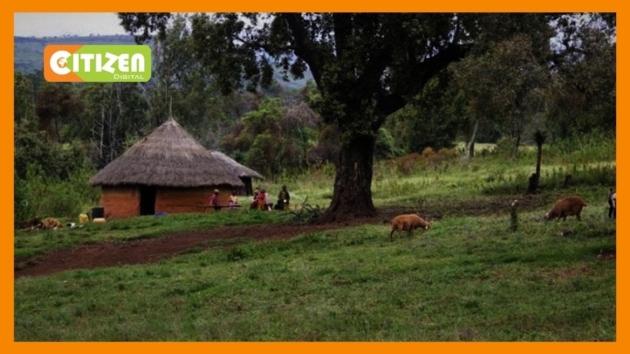 Africa Peer Review Mechanism urges counties to embrace good governance