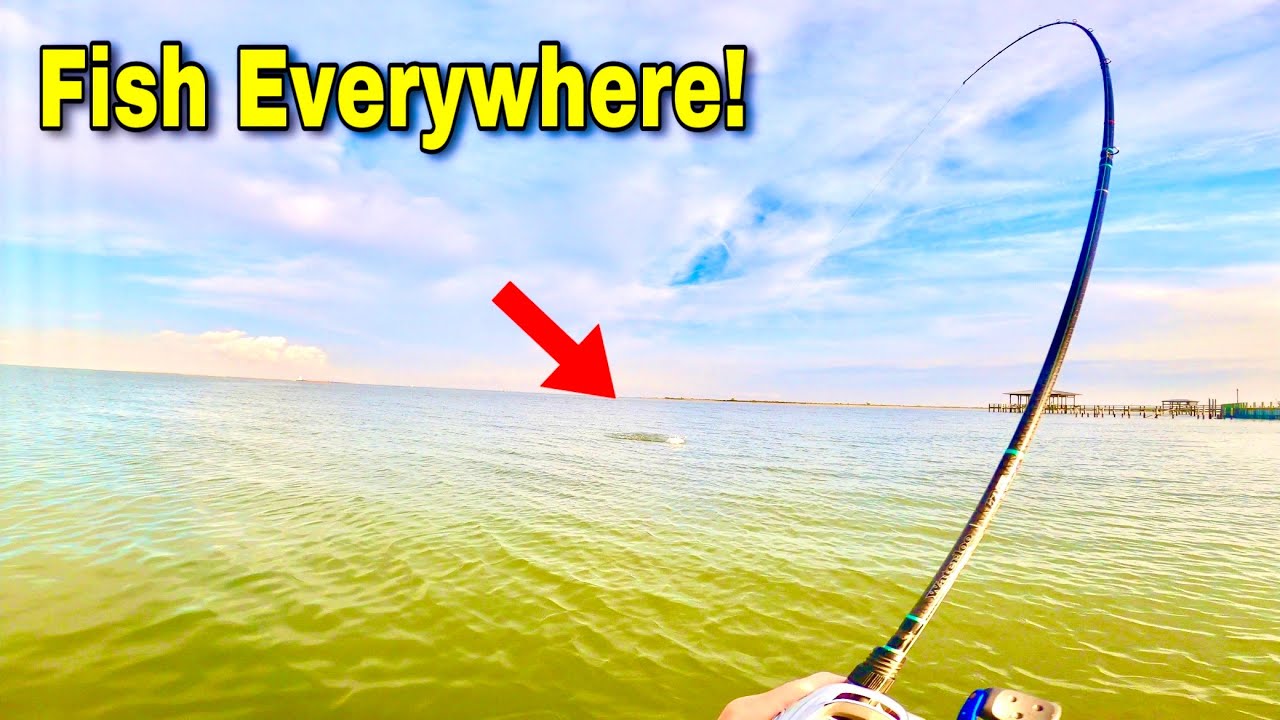 FISHING GALVESTON Bay for AGGRESSIVE! Speckled TROUT (Catch, Clean, Cook)