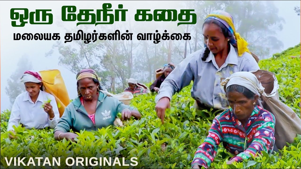 Sri Lanka மலையக தமிழர்கள் கதை | Kandy Tamil Tea Plantation Workers Story | Vikatan Originals