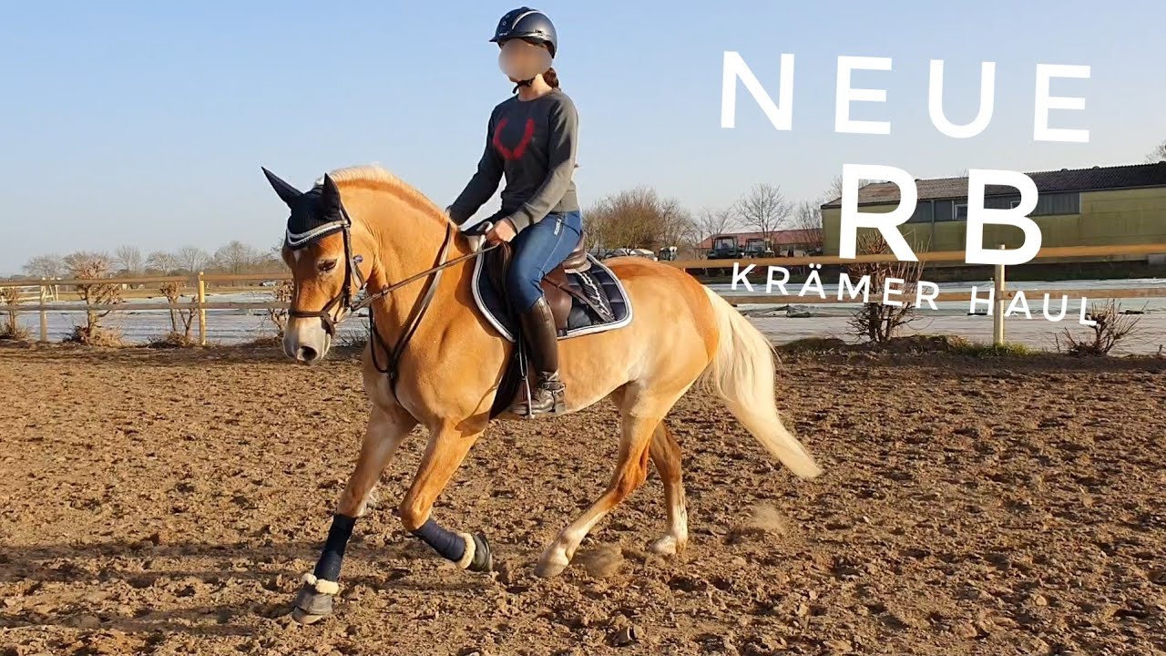 Krämer Haul für meine erste Reitbeteiligung ❤🐴
